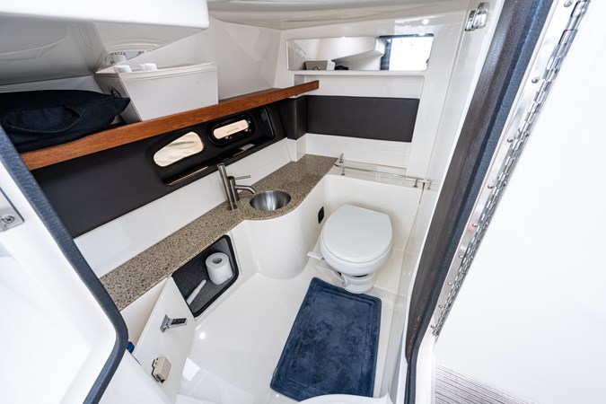 35_searay_irish_eyes_head_1