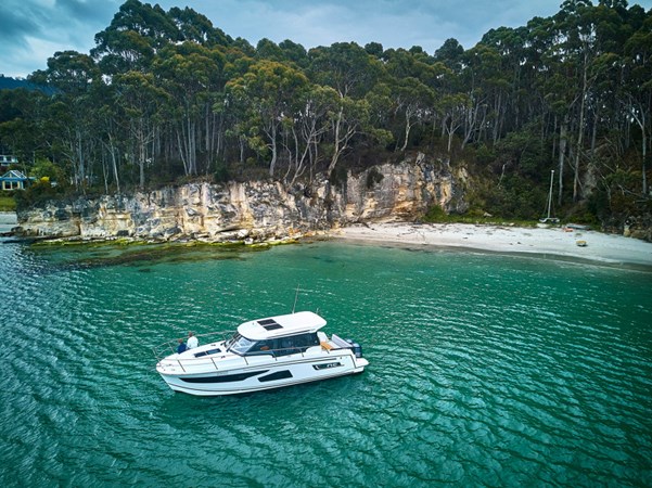 NC1095-NClogo-Tasmanie-2--Bertrand_DUQUENNE-800px