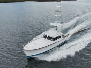 BLUE FIN IV 27 Running Shot