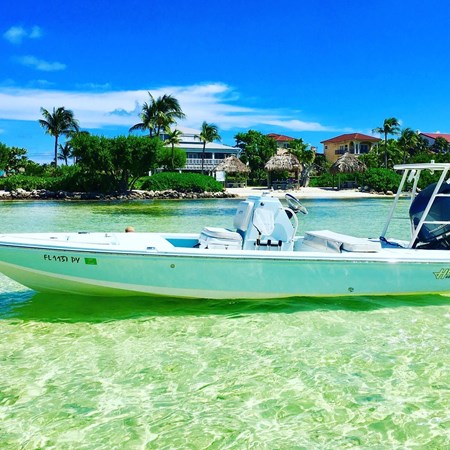 8675593_20230130110804371_1_XLARGE