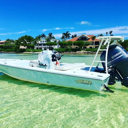 8675593_20230130110806381_1_XLARGE