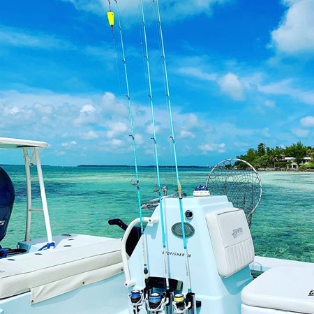 8675593_20230130110809088_1_XLARGE