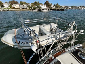 NEW HORIZONS 39 Davits with Tender