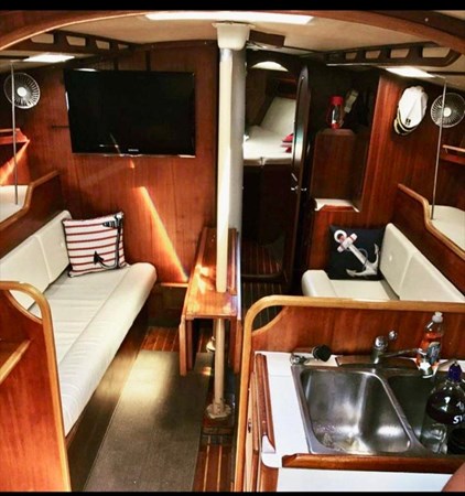 8762205_20230322062009183_1_XLARGE