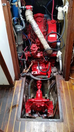 8762205_20230322062017673_1_XLARGE