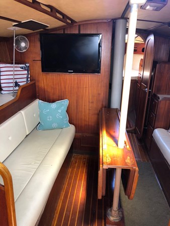 8762205_20230322063404535_1_XLARGE