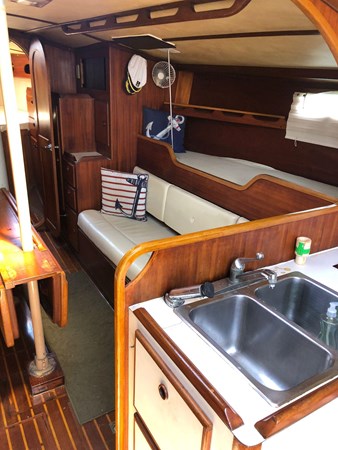 8762205_20230322063429044_1_XLARGE