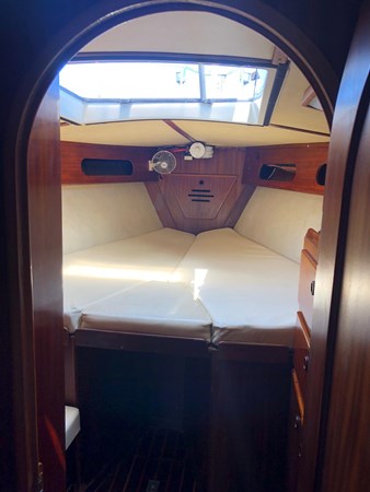 8762205_20230322063525775_1_XLARGE