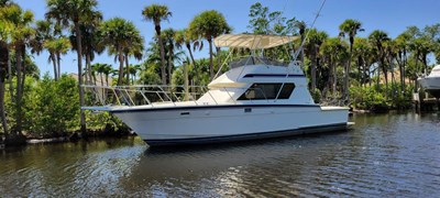 ALIKAL 52 Profile    