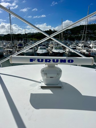 9184804_956946205_0_080120241548_11