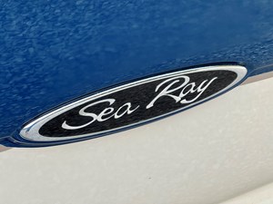 2004 Sea Ray 220 SunDeck NLDF 123 IMG_4716
