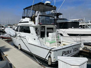 1986 Bertram 42 Convertible 3 4
