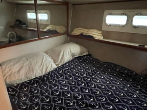 1986 Bertram 42 Convertible 14 15