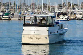 Abbey Singer 12 13