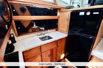 Abbey Singer 28 29