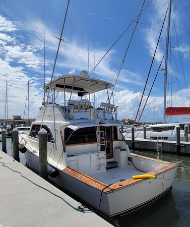 8912343_20230618083527177_1_XLARGE