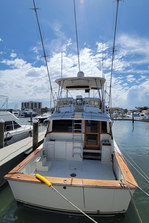 8912343_20230706074941210_1_XLARGE