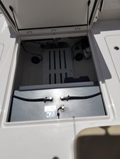 Nauti Nole 29 20230906_134405