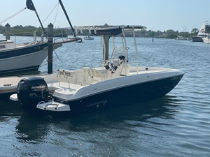 2020 Bayliner F21 Element 2 3