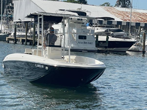 2020 Bayliner F21 Element 4 5