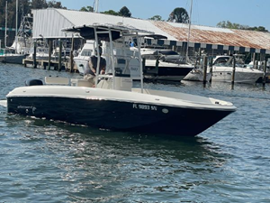 2020 Bayliner F21 Element 5 6