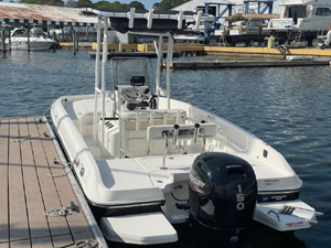 2020 Bayliner F21 Element 6 7