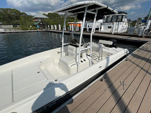 2020 Bayliner F21 Element 7 8