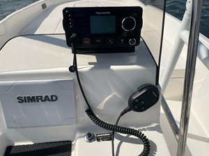 2020 Bayliner F21 Element 13 14