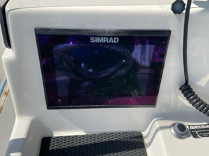 2020 Bayliner F21 Element 14 15