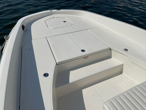 2020 Bayliner F21 Element 19 20