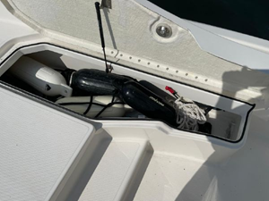 2020 Bayliner F21 Element 20 21