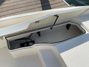 2020 Bayliner F21 Element 22 23