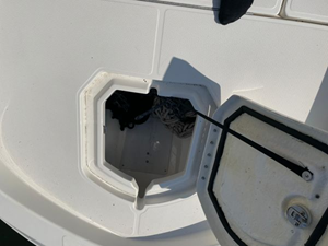 2020 Bayliner F21 Element 24 25