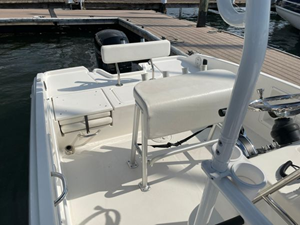 2020 Bayliner F21 Element 27 28