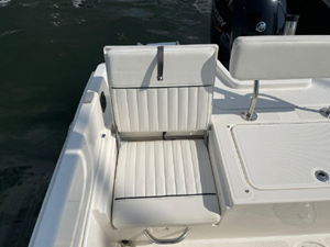 2020 Bayliner F21 Element 29 30