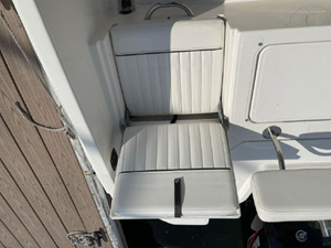 2020 Bayliner F21 Element 30 31