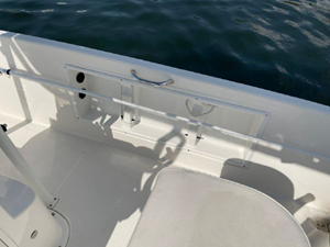 2020 Bayliner F21 Element 31 32