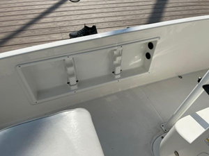 2020 Bayliner F21 Element 32 33