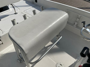 2020 Bayliner F21 Element 33 34