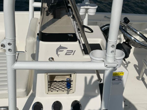 2020 Bayliner F21 Element 34 35