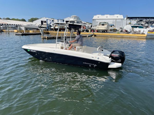 2020 Bayliner F21 Element 35 36