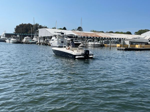 2020 Bayliner F21 Element 37 38