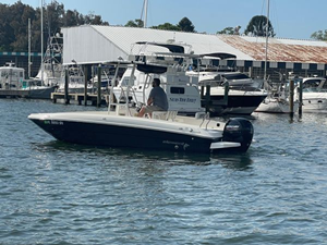 2020 Bayliner F21 Element 38 39