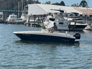 2020 Bayliner F21 Element 39 40