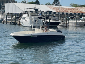 2020 Bayliner F21 Element 40 41