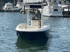 2020 Bayliner F21 Element 43 44