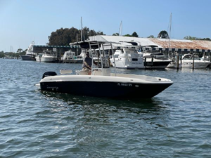 2020 Bayliner F21 Element 44 45
