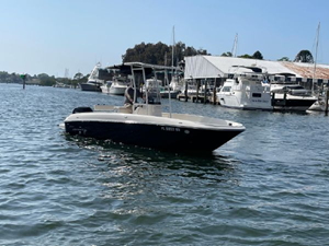 2020 Bayliner F21 Element 45 46