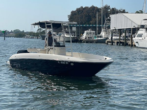 2020 Bayliner F21 Element 46 47