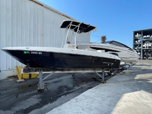 2020 Bayliner F21 Element 50 51